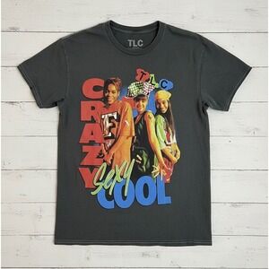 EUC Unisex TLC CrazySexyCool Graphic T-Shirt Charcoal Gray 90s R&B Music Tee S/M
